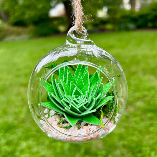 Hanging Terrarium “Spike Me Up”
